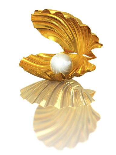 Zhi